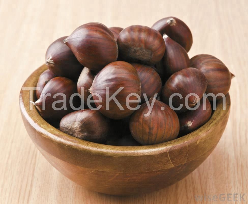 Chest Nuts (Best Grade Chest Nuts)