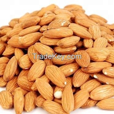 Best Grade Organic Almond Nuts For Sale