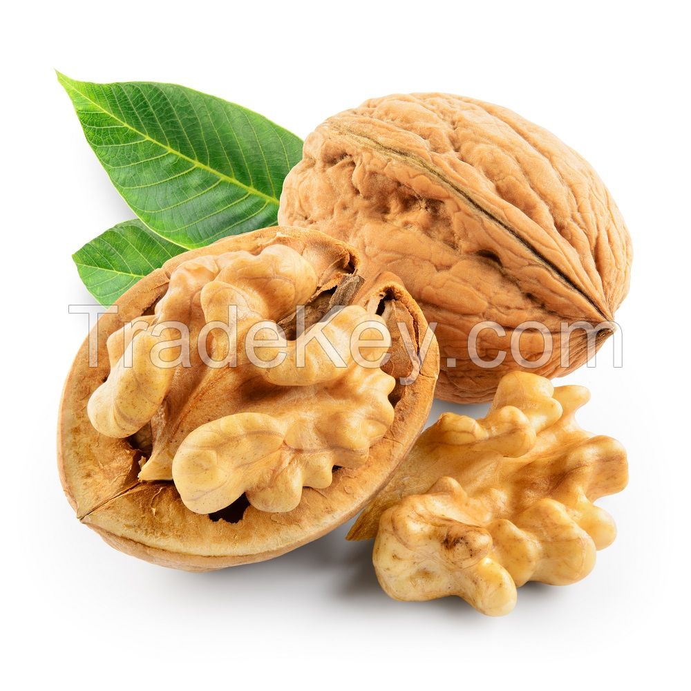 Top Quality Walnut Kernels for Sale