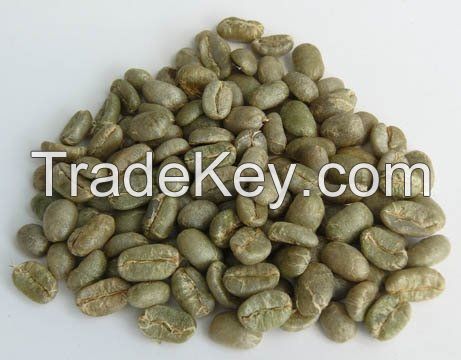 Green Arabica Coffee Beans