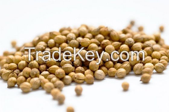 Coriander Seeds