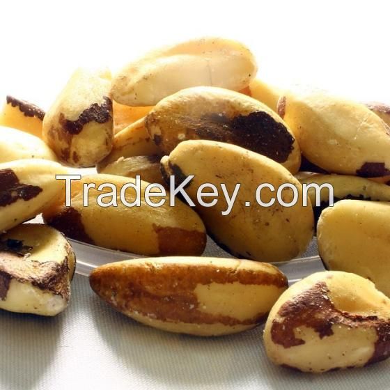 Brazil Nuts