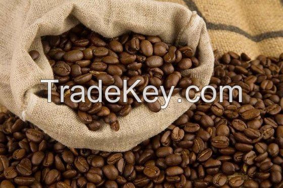 Green Coffee Beans Arabica Grade AA and Robusta and Civet Coffee