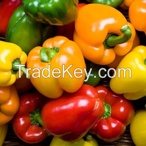 fresh capsicum