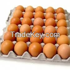 fresh eggs