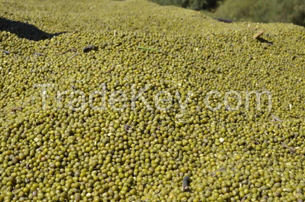 GREEN MUNG BEAN