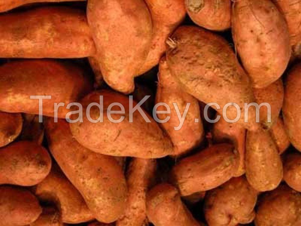 Sweet Potatoes