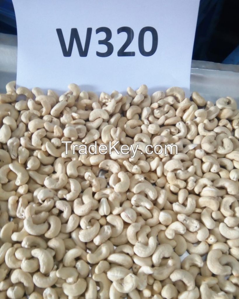 Raw Cashew Nut for sale