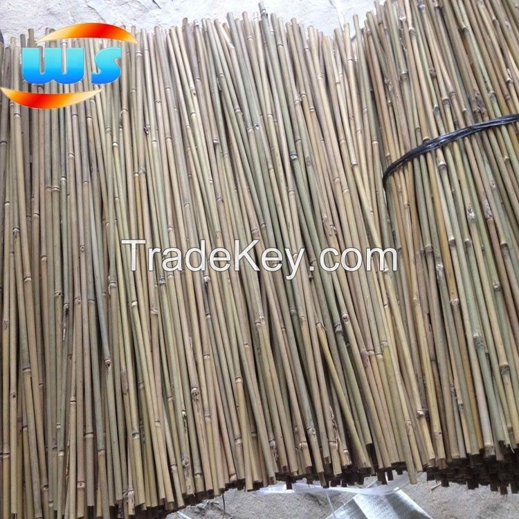 bamboo raw material