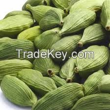 Green Cardamom Premium Whole Large Green Cardamom Quality