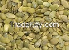 Pumpkin Seeds Common Type Grade Pumpkin Seeds Kernels for Sale