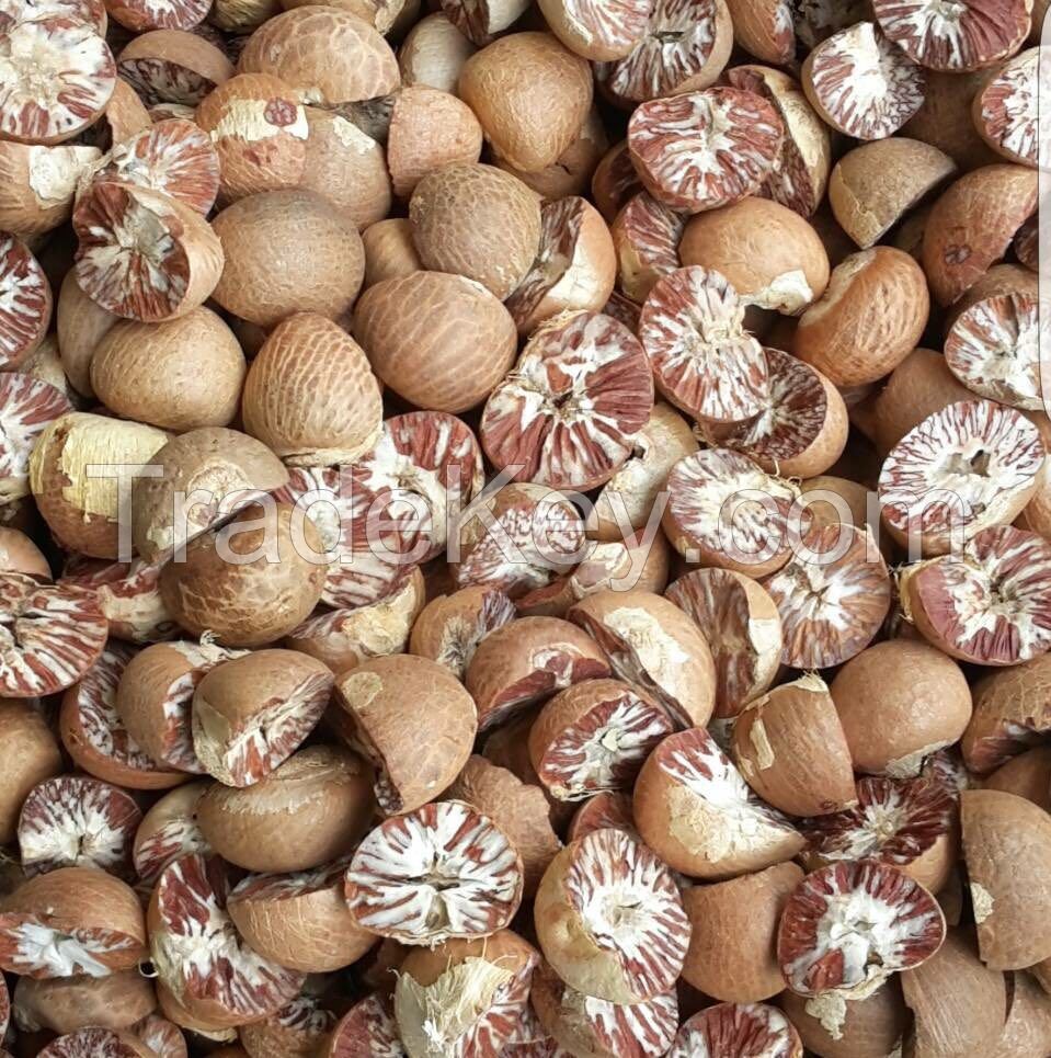 Betel Nuts