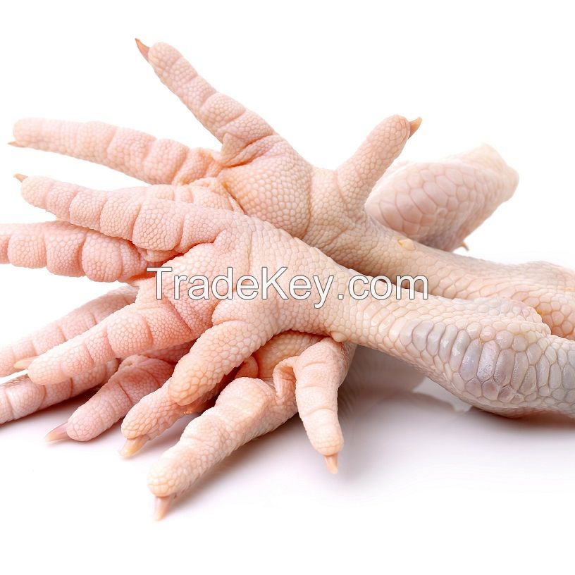 Grade A Halal Frozen Chicken Feet, Paws.