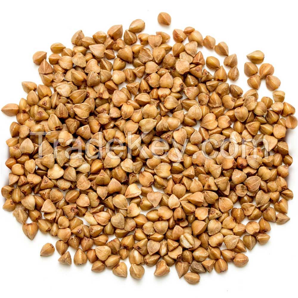 Buckwheat