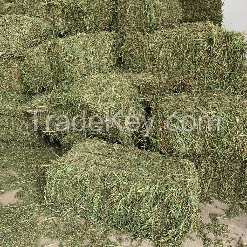 Sell Timothy Hay For Horses