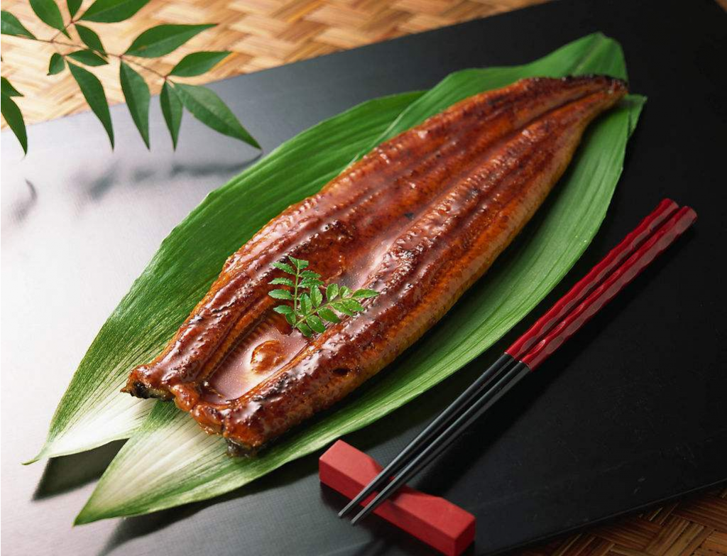 10OZ anguilla japonica frozen roasted eel in vacuum packaged unagi kabayaki