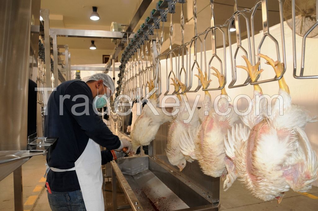 poultry slaughterhouse 500 b/h