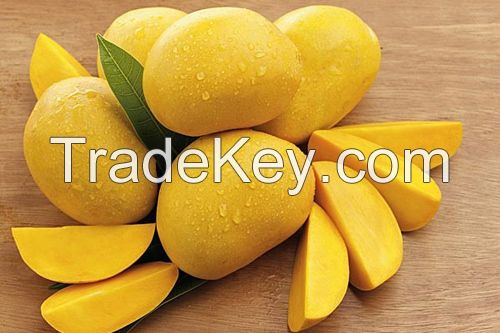 Quality Fresh Natural Fruit Sliced/ chunk/ peieces Canned Mango in syrup