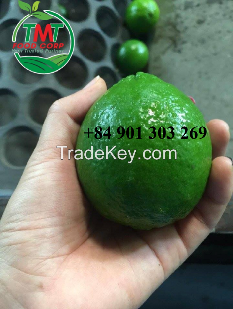 Fresh Seedless Lime