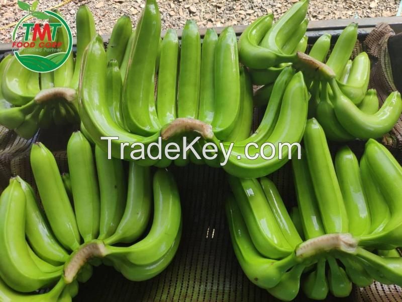 FRESH CAVENDISH BANANA