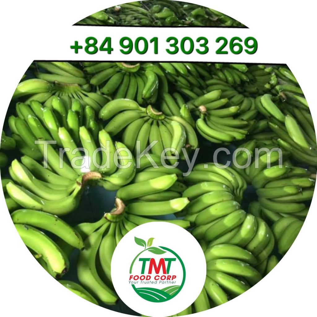 FRESH CAVENDISH BANANA