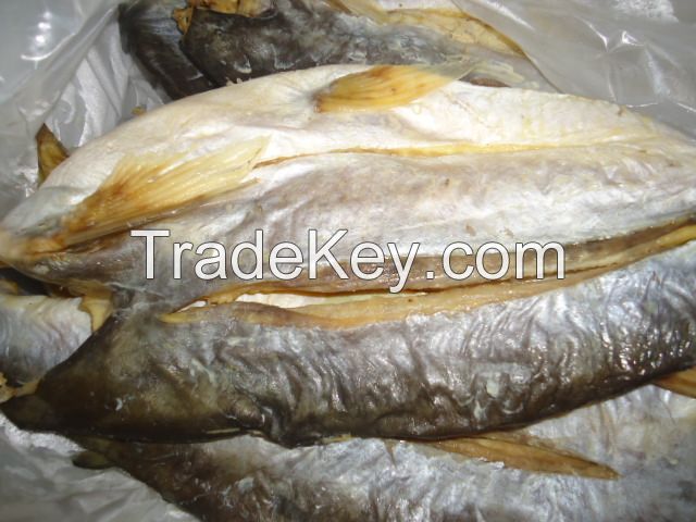 Dried Pangasius