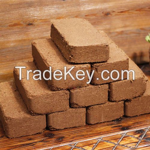 Coco Peat Block