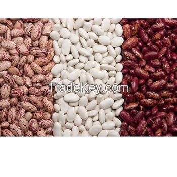 kidney Beans