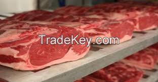 FROZEN BONELESS BEEF/BUFFALO MEAT READY FOR SUPPLY