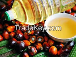 REFINED PALM OIL / Red Palm Oil / Crude Palm Oil