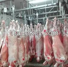 Halal Frozen Lamb/ Sheep/ Mutton Meat...