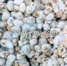 Grade A Raw Cotton