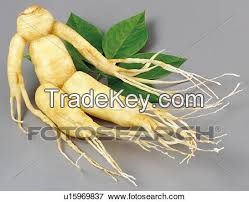 100% Natural Organic Panax Ginseng