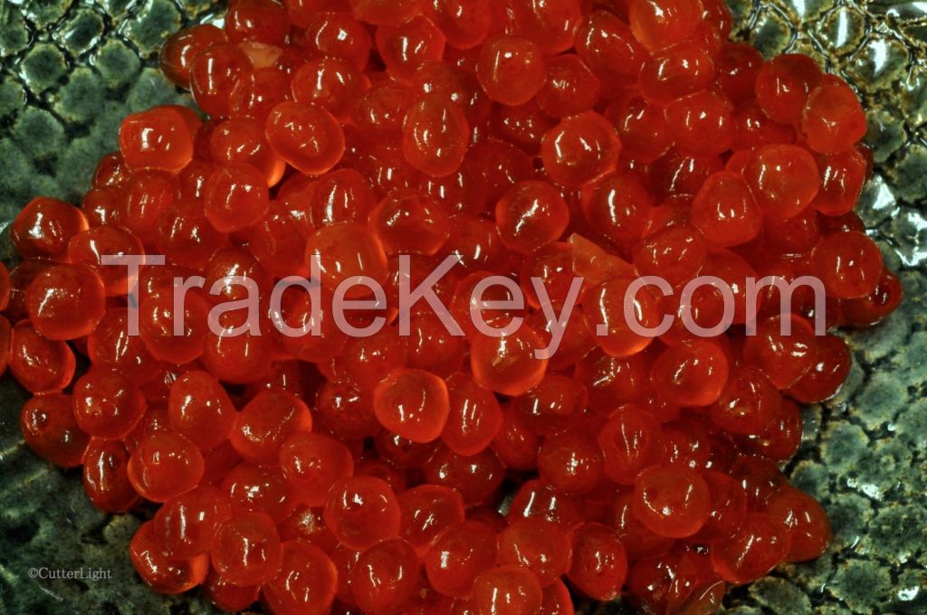 Buy Salmon Roe