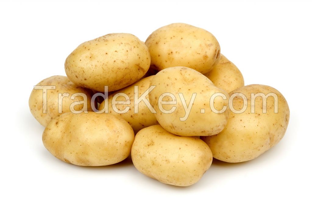 Fresh Potatoes