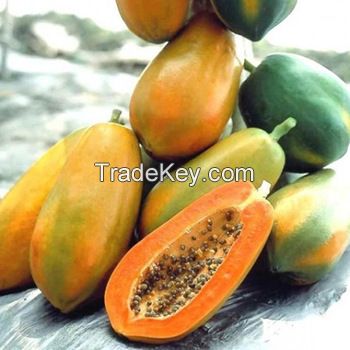 Fresh Papaya