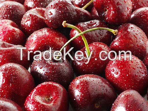 RED FRESH  SWEET CHERRY