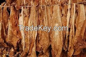 shisha Tobacco Leaves for sale in uk