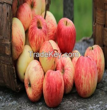 Fresh Fuji apple fresh apple fruit