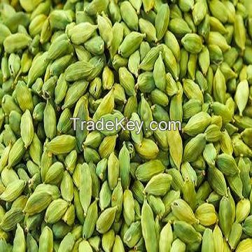 Grade A High Quality Guatemala Green Cardamom/Dried Cardamom for export to Saudi Arabia, India, UK, etc