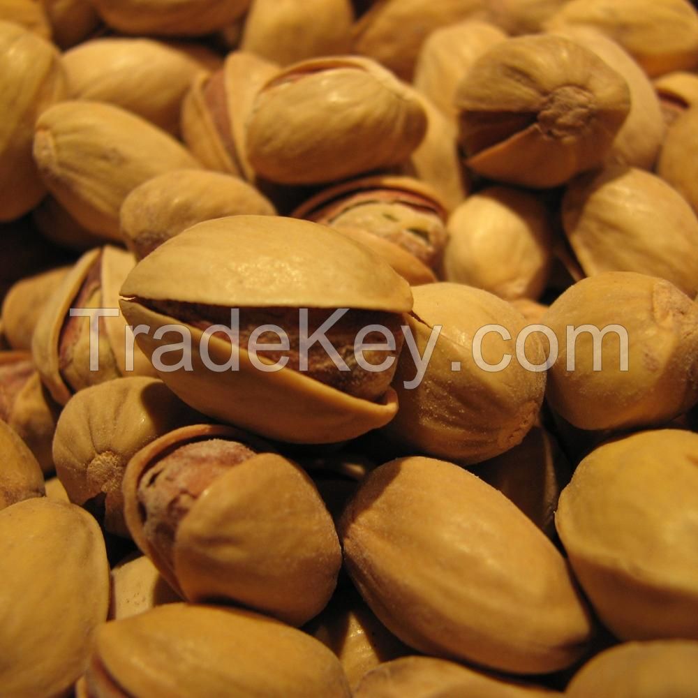 Natural raw Pistachio Nuts at cheap price