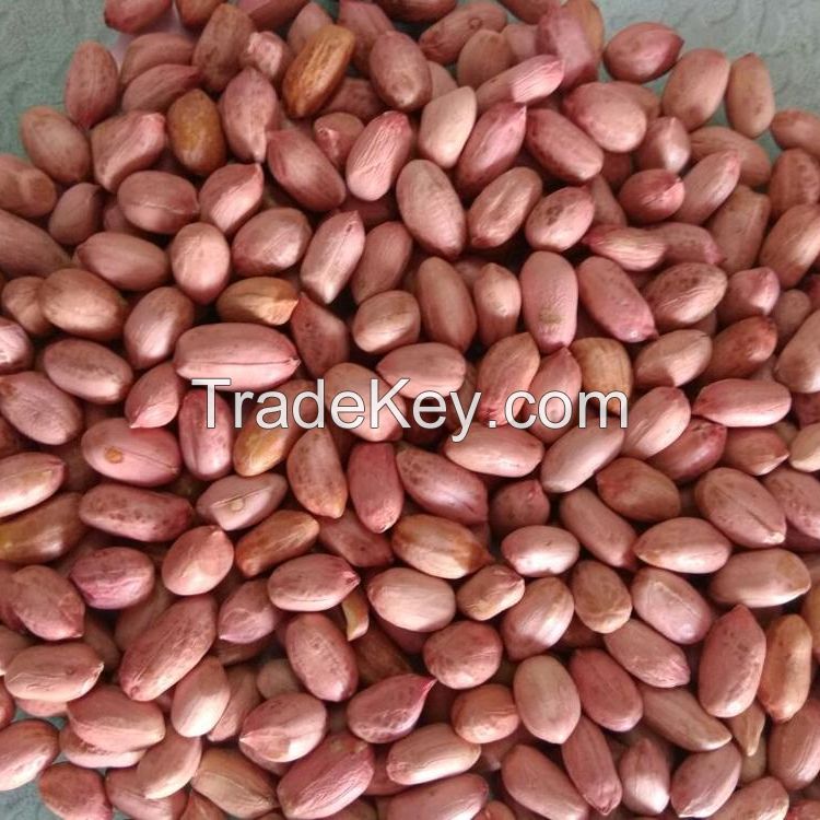 High Quality Peanuts, Ground Nut