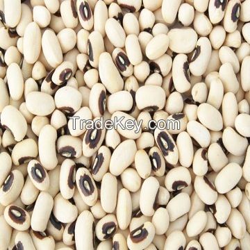 Premium Quality Madagascar Black Eye Beans for fooding purpose