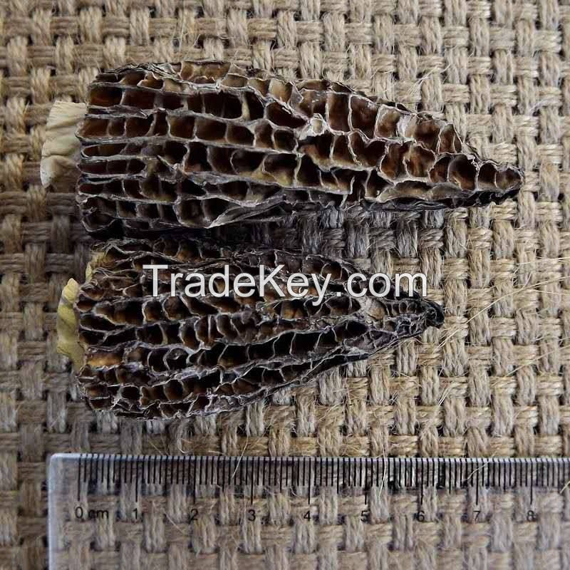 DRIED MOREL MUSHROOM