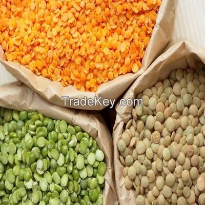 Super Quality Green / Yellow / Red Split Lentils / Green Split Lentils / Lentils Beans