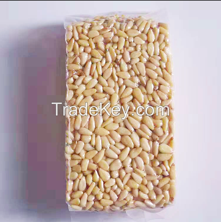 Pine Nuts for sale in bulk