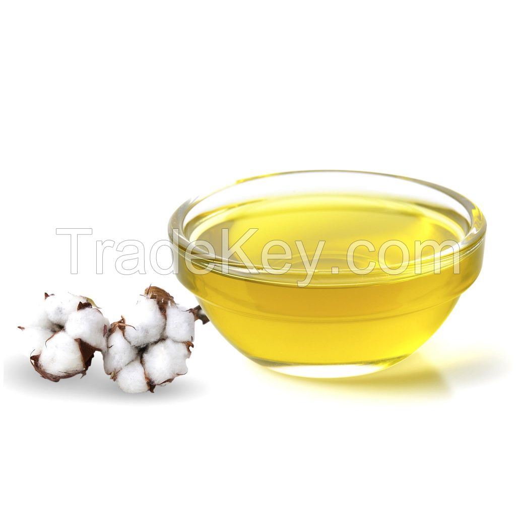 wholesale OEM/ODM Cold Presses Refined Wild Camellia Seed Oil