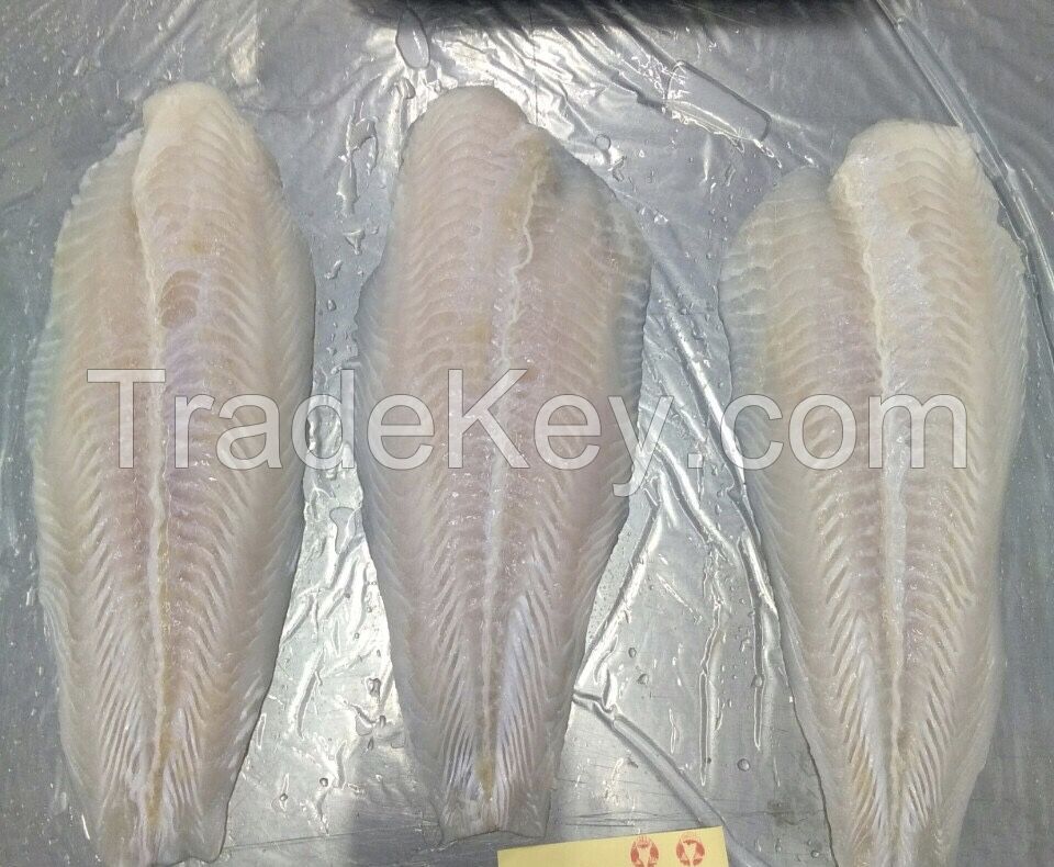 GOOD PANGASIUS OFFER FROM MEKONGFISH VIETNAM