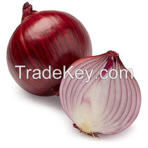 FRESH ONION