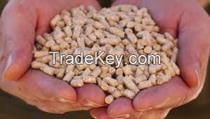 EARLY CALF PELLETS FOR SALE